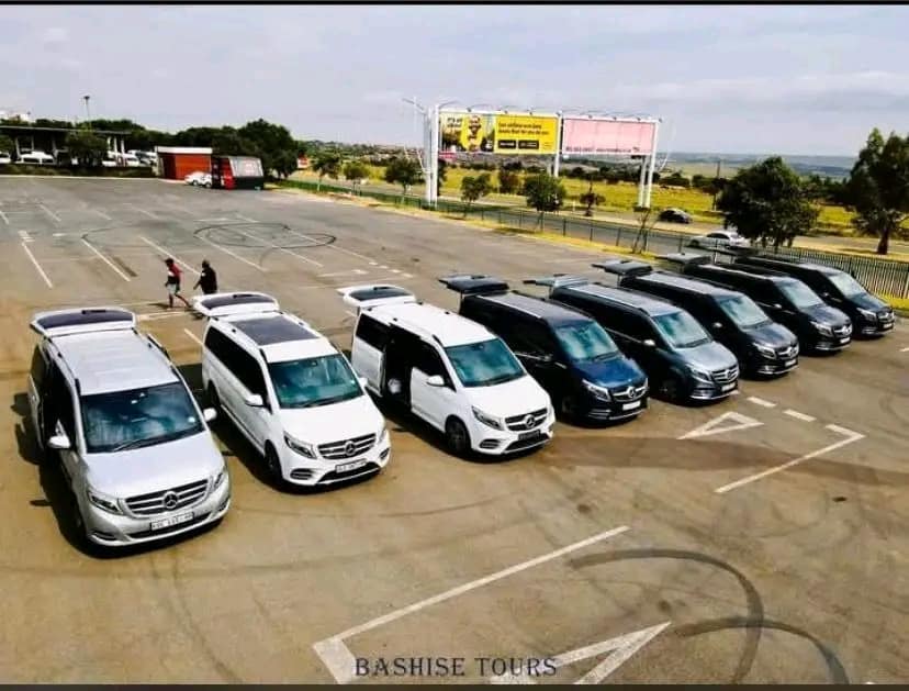 The full transport fleet drawn up before a group movement
